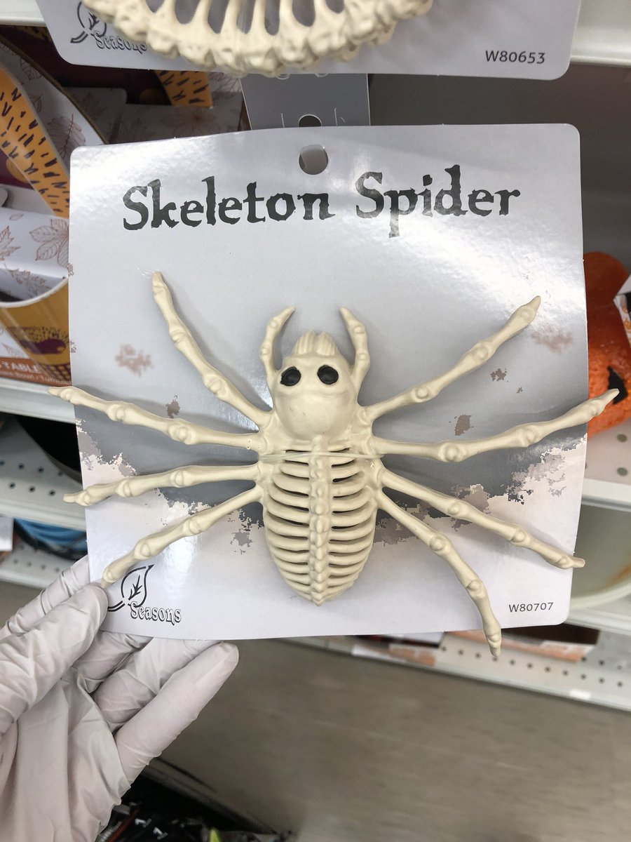 orchard_apples's tweet photo. #imsorrywhat #thatsnothowthisworks #thatsnothowanyofthisworks #spiderskeletoniguess #HappyHalloween #Halloween2022
Oh, what a cool dec-
……
Wait a second… https://t.co/YCFF8VLsfi