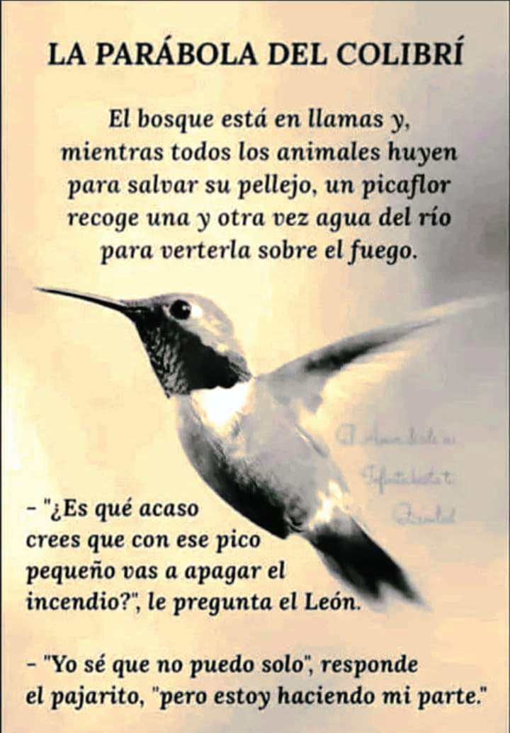 Sigamos el ejemplo del colibrí.
#FuerzaCuba