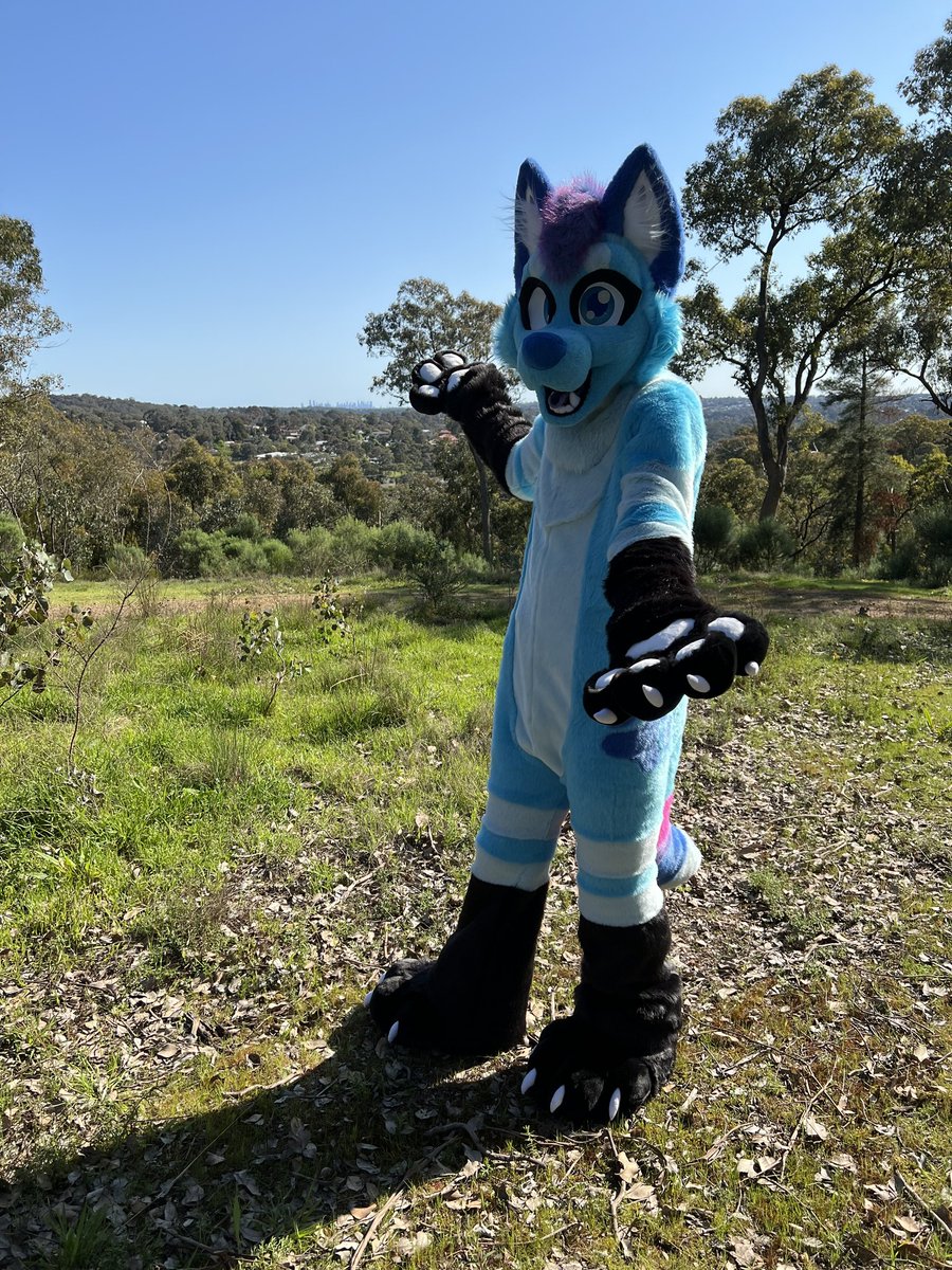 FrostyBlueberry's tweet photo. introducing my boy Frosty
made by the amazing @8Bit_Works 
I absolutely love him

#furry #furryfandom #fursuit #fursuiter
#FursuitsFriday https://t.co/26Fq0Ghutm