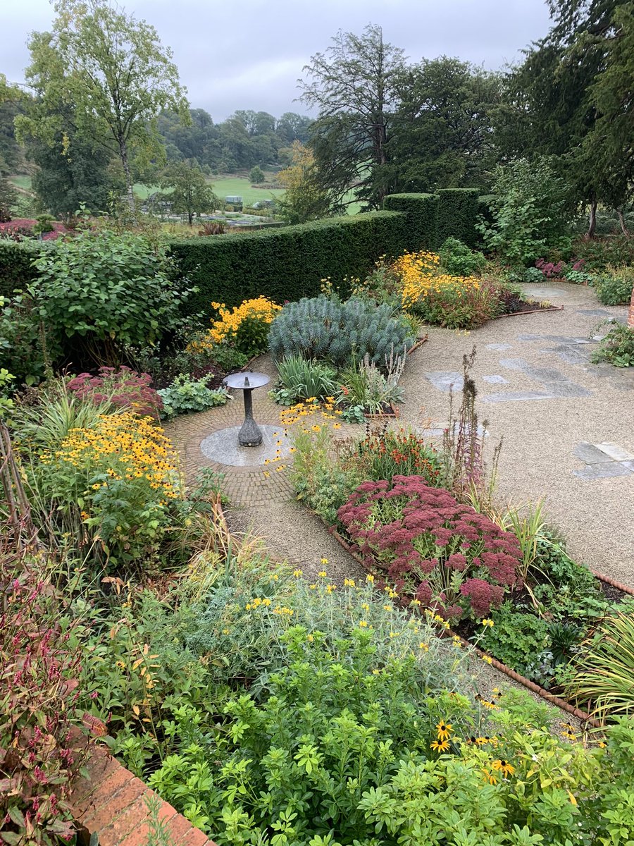 Phil Esseen tweet media