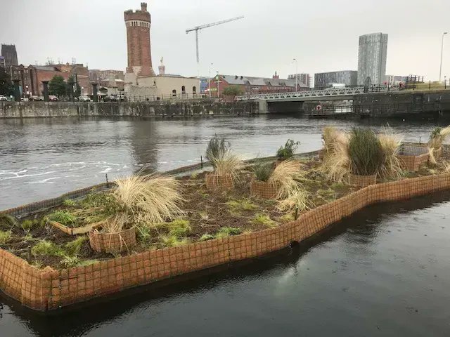 carboncopy_eco's tweet photo. 🎉🏃 #RunningOutofTime @Climate_Relay is now passing @urbangreenUP in @lpoolcouncil.
This initiative creates green corridors and installs innovative nature-based solutions in dense urban environments.
Learn all about them: https://t.co/rjtoo71cPo #COP27 #ThinkBigLocal https://t.co/vvDCLTihHC