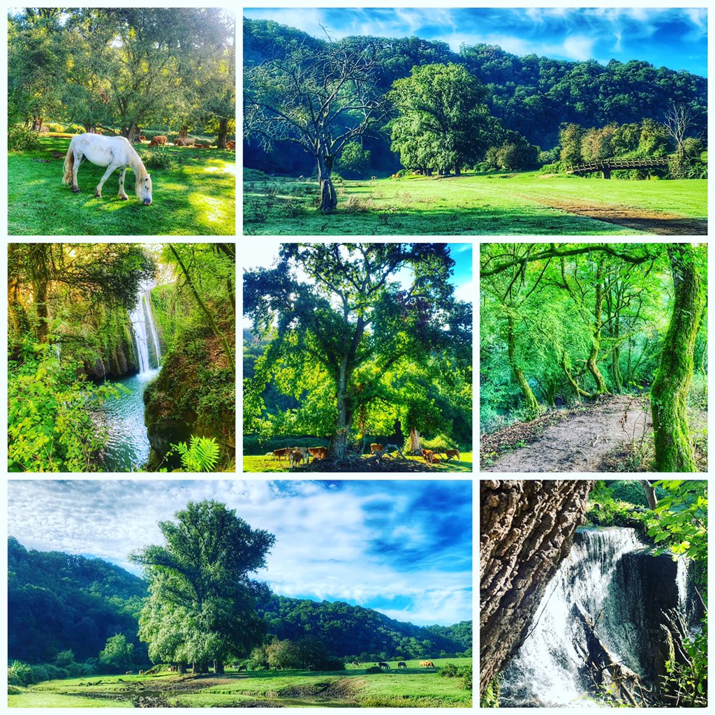giadarmusic's tweet photo. the place where I live, in contact with nature and animals still free to live in the wild

#valledelsorbo #parcodiveio #formello #nature #naturelovers #intothewild https://t.co/FVKFxu8QB0