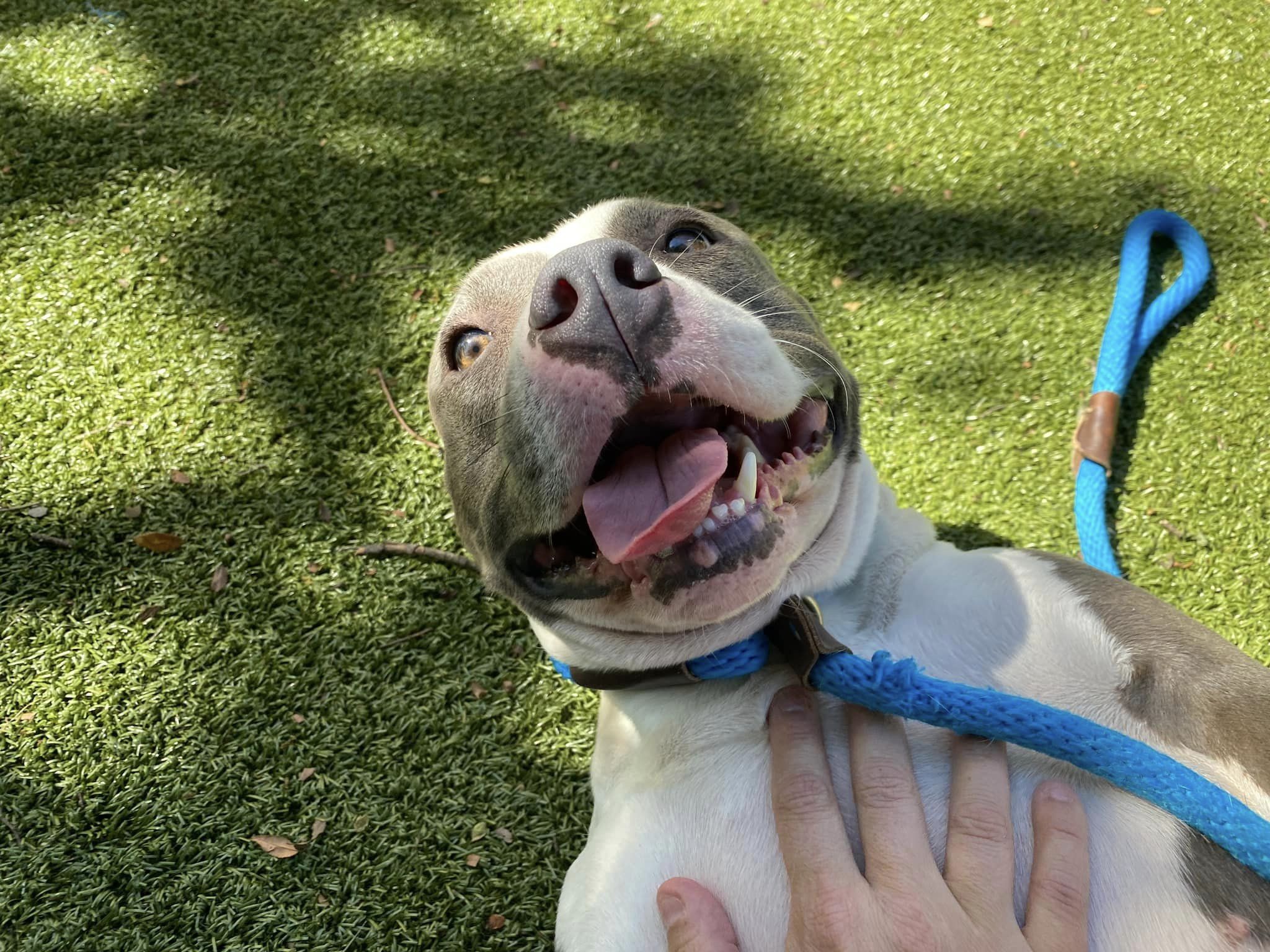 Providence Ac Providence Ac Twitter