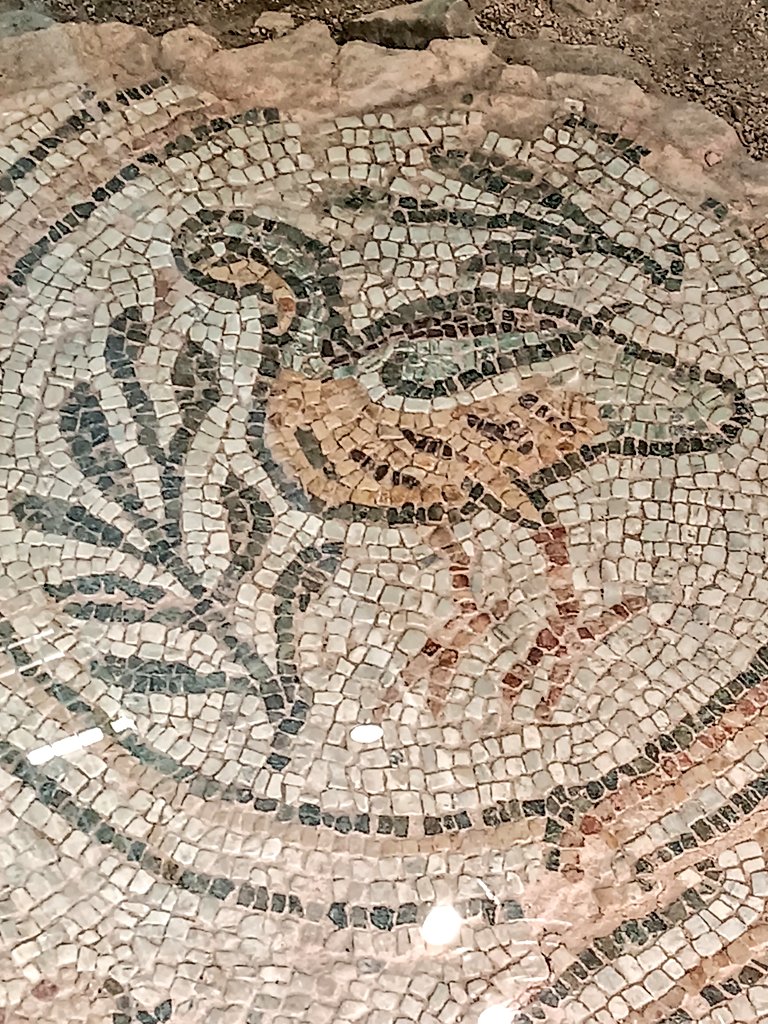 VagaBobTravel's tweet photo. The magnificent floor #mosaics of the c.4th century Bishop's Basilica of #Philippopolis 📜
📍current day #Plovdiv #Bulgaria
.
#ExploreDiscoverExperience
#ExperientialTravel #wanderlust https://t.co/oL7hlgdpH0