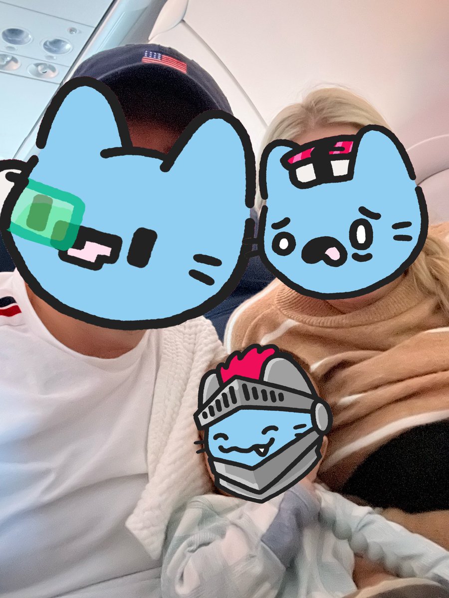 catrickswayzeth's tweet photo. Sunday Agenda: ☕️ 🛩️ 🦞

Two cats and a kitten on their way to new places #CoolCats https://t.co/gkDjMhNLp5