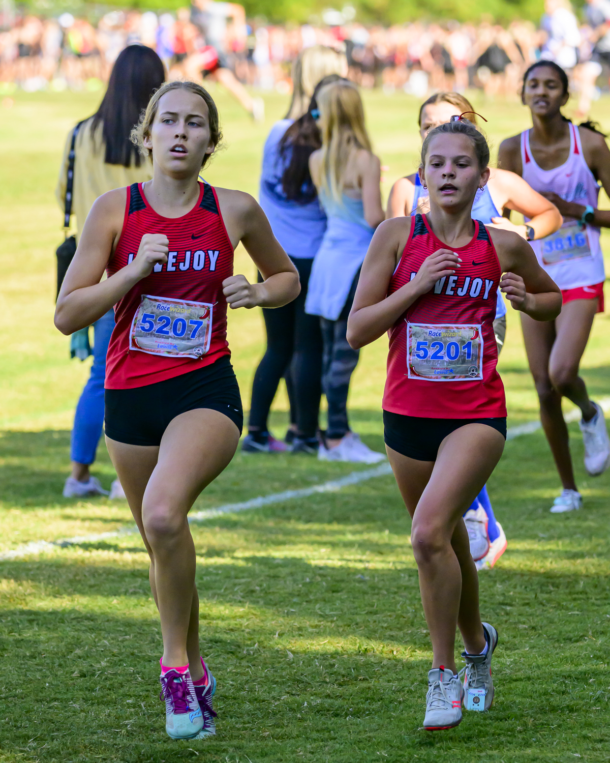 Jim McGuinness on Twitter "LovejoyXCTF marquee photos from the Sr