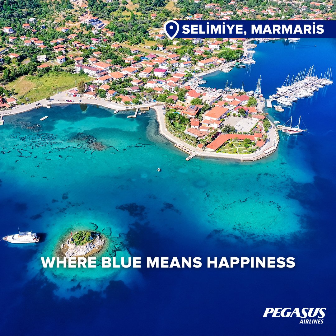 Pegasus Airlines tweet media