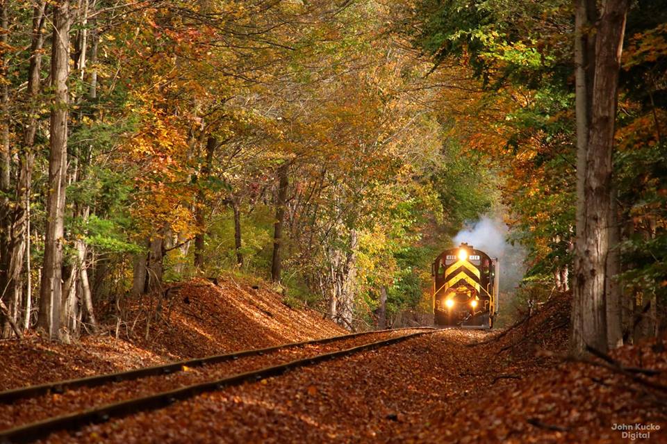OMID Railroad tweet media