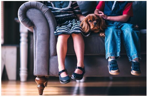 HouseSitMatch's tweet photo. HANDY BLOG: Here's how to prepare when getting the first pet for your kids
Have you been thinking about buying your first pet for the kids? Read this article before becoming a #petowner so you can help prepare your kids for their #firstpet:
https://t.co/599j2xS2l6

#newpet #pets https://t.co/JbZT0G5RqG