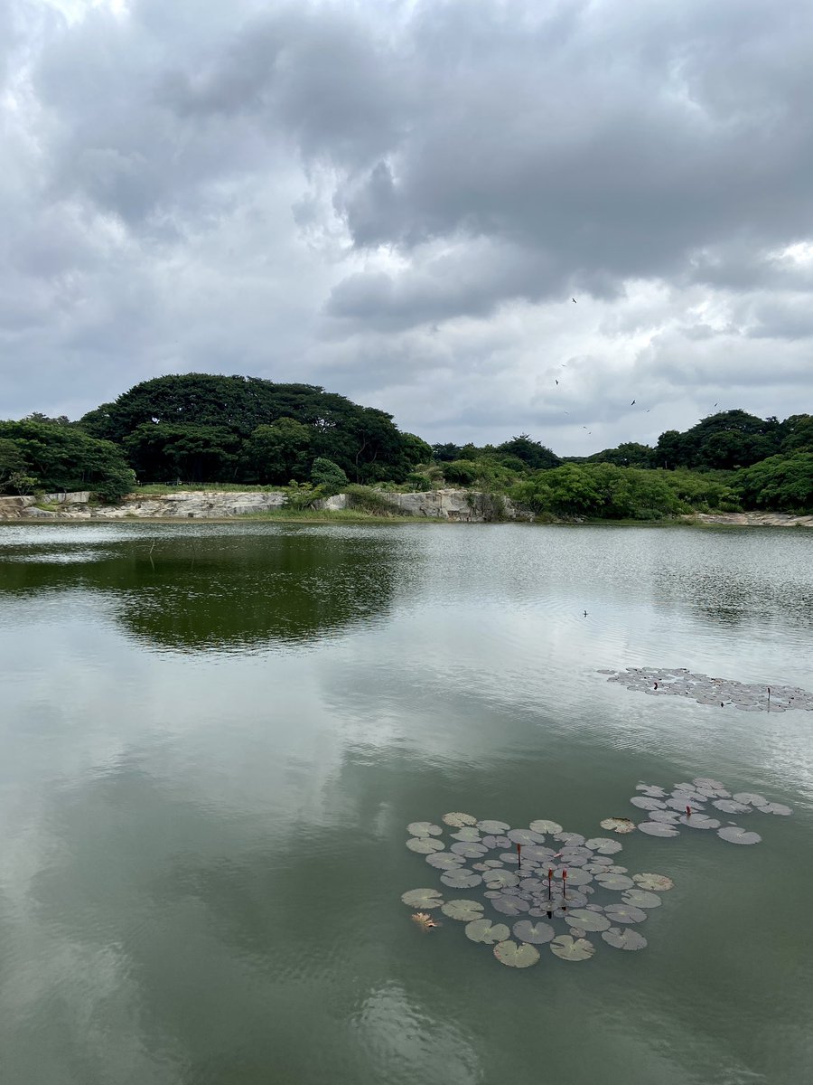 VipinLabroo's tweet photo. A piece of heaven, in the heart of a choked place #guesswhich and #guesswhere is this place https://t.co/8EjcENyqWo