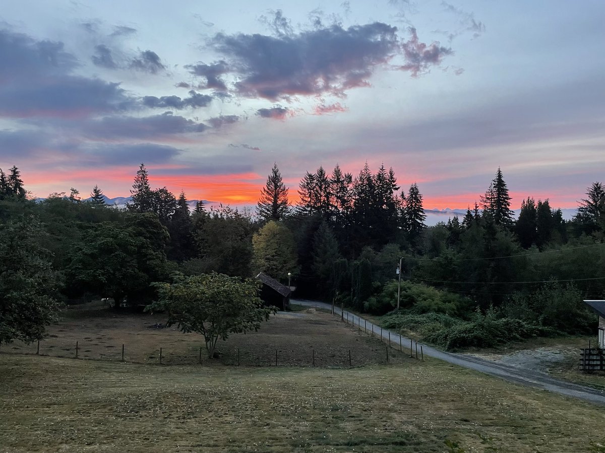 Chrissy Clarke (@chrissy_clarke) on Twitter photo I’ve been absent, #WritingCommunity friends. My daughter left for Taiwan, and we moved houses.
What’s new? #sundayvibes
<a href="/phandi/">Philip Anderson ✍♿ #Gratitude #Joy #KindnessMatter</a>
<a href="/d_ast777/">David Padilla</a>
<a href="/ninsthewriter/">Nina Romano</a>
<a href="/missmackieuk/">Leanne</a>
<a href="/BambiSommers1/">Bambi Sommers Editor</a>
<a href="/laliaristo/">Author Lali A. Love ™️ 🌈✨</a>
<a href="/GeorgeYuhasz/">George Yuhasz</a>
<a href="/loveGoldenHeart/">💛Christina Goebel, M.A.</a>
<a href="/Quinnqueens/">Quinn 💛(G.Quinn Rogers)</a>
<a href="/CK_Ruppelt/">C.K. Ruppelt 💔 for 🇺🇦+🇲🇲</a>
My new view— I’ve been absent, #WritingCommunity friends. My daughter left for Taiwan, and we moved houses.
What’s new? #sundayvibes
<a href="/phandi/">Philip Anderson ✍♿ #Gratitude #Joy #KindnessMatter</a>
<a href="/d_ast777/">David Padilla</a>
<a href="/ninsthewriter/">Nina Romano</a>
<a href="/missmackieuk/">Leanne</a>
<a href="/BambiSommers1/">Bambi Sommers Editor</a>
<a href="/laliaristo/">Author Lali A. Love ™️ 🌈✨</a>
<a href="/GeorgeYuhasz/">George Yuhasz</a>
<a href="/loveGoldenHeart/">💛Christina Goebel, M.A.</a>
<a href="/Quinnqueens/">Quinn 💛(G.Quinn Rogers)</a>
<a href="/CK_Ruppelt/">C.K. Ruppelt 💔 for 🇺🇦+🇲🇲</a>
My new view—