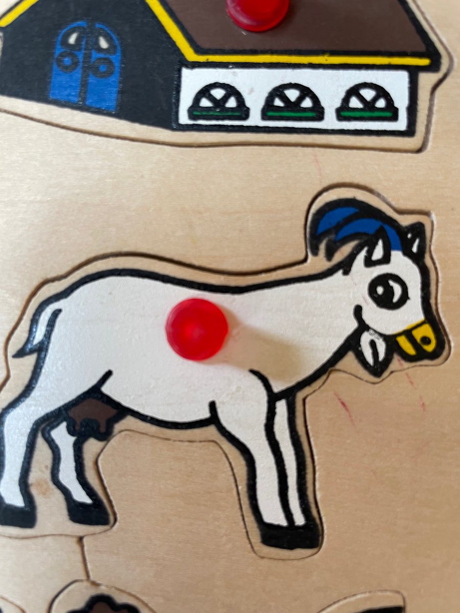 Ceri May tweet media