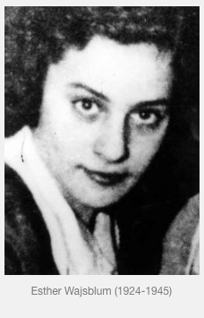 Auschwitz Exhibition tweet media