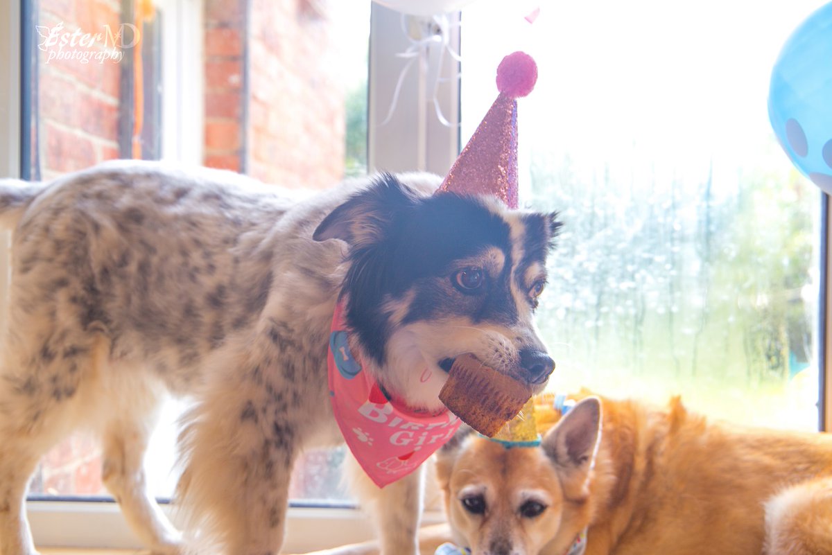 Ester Mira D. photography tweet media