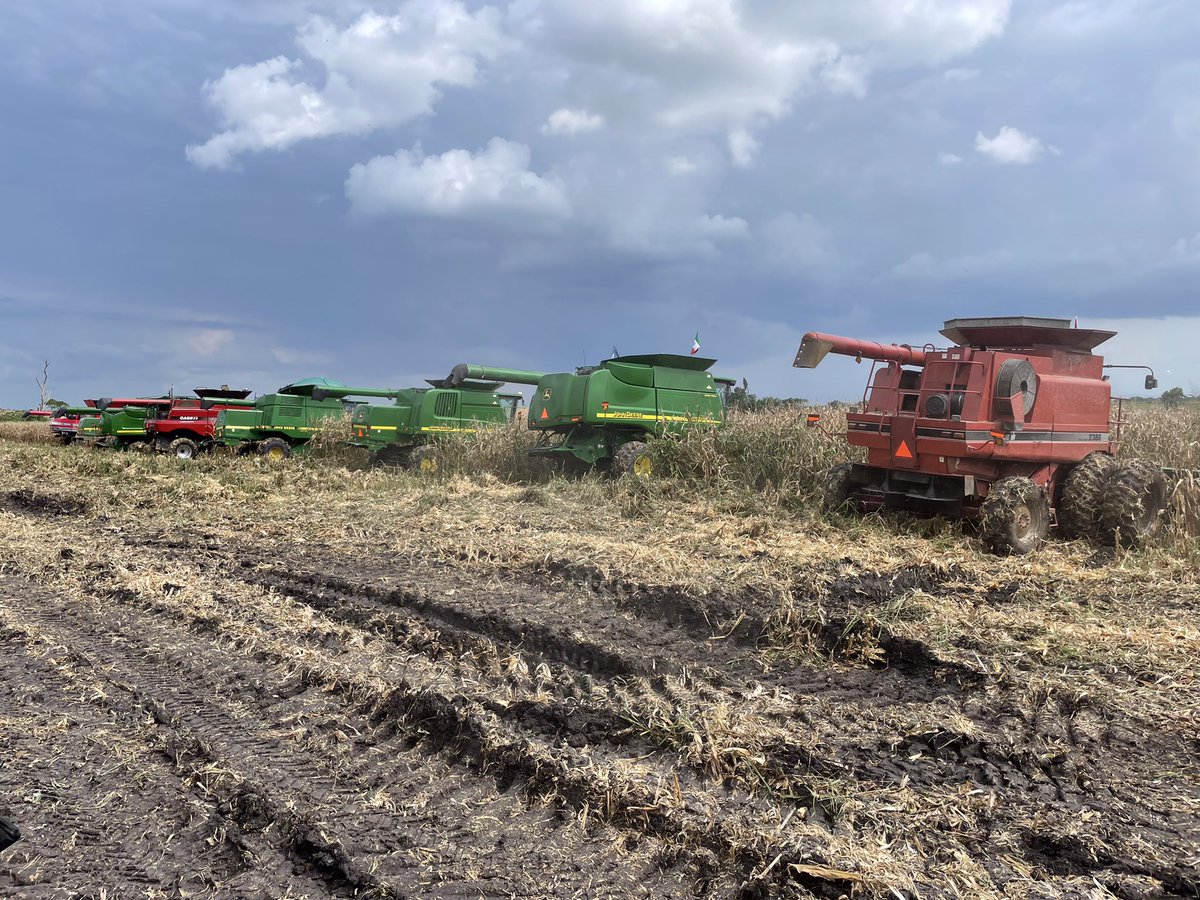 JerryFriesen3's tweet photo. Farmers came together and Harvested 40 acres corn. All the revenue generated goes to Ministry for Kids in the City. #HarvestForKids https://t.co/7vHMMU1531
