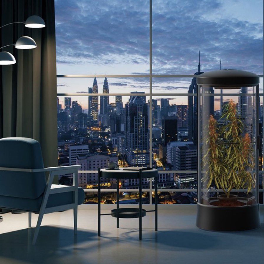 CryptoGrow NFT tweet media