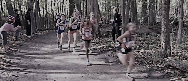 higdonmarathon's tweet photo. I enjoy running in scenic areas: through the woods, in the mountains, along the beach. But I sometimes run past the scenery too fast to see it. At times we need to slow down and, in effect, sniff the flowers. The slower you run, the more scenery you can absorb. #RunWithHal https://t.co/y0RIp5SOn1
