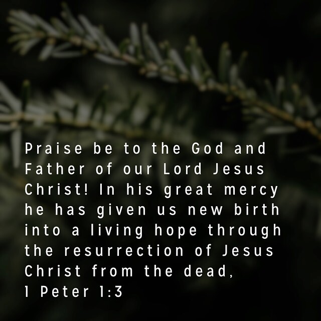 1 Peter 1:3 #livinghope #bibleverseoftheday #resurrectionofjesus #praisebetogod #1peter #morningmanna