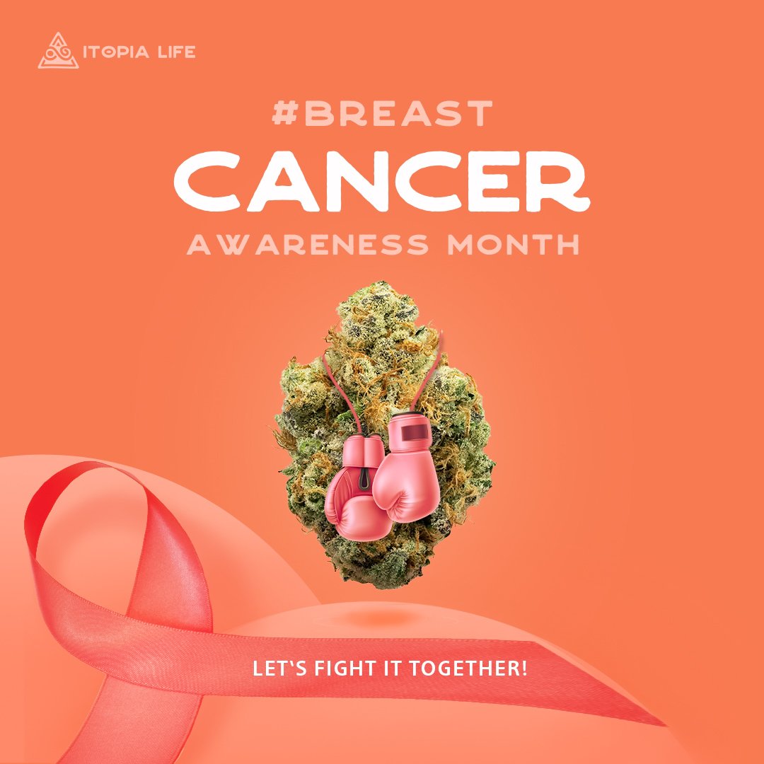 itopialife's tweet photo. Your Health Matters!
It's #BreastCancerAwarenessMonth !!
Let us help to #relieve the pain & fight it together! #ItopiaCares
##itopialifestyle #ItopiaWay #Itopia #itopialife #ItopiaHerbHouse #highgradehealing #medicalmarijuana #relaxation #education #medication #healingherbs https://t.co/w08pxlFWnE