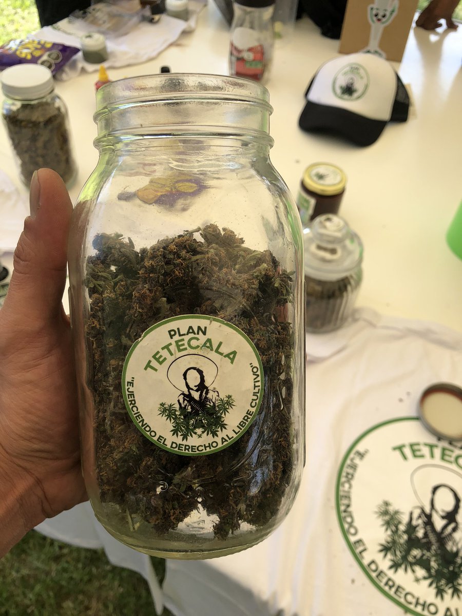 Mariguanillo's tweet photo. Talleres, ponencias y mucha mariguana en el #ToqueFest en Puebla. @ToquePoblano @zarasnapp @TtcalaCannabico @Mariguanillo @CannabisPuebla https://t.co/qJzODBYghb