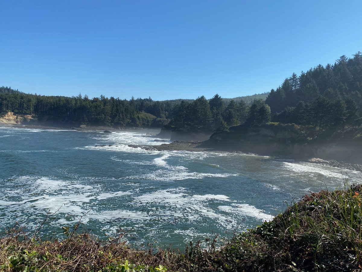 cjhitz's tweet photo. Beautiful morning for a race in Lincoln City, Oregon. Came away with the win at the Fire Aid 5k. Thanks @gardenofliferaw for the wonderful continued support
#MastersRunner #GardenOfLife https://t.co/E5qjWtcDRt