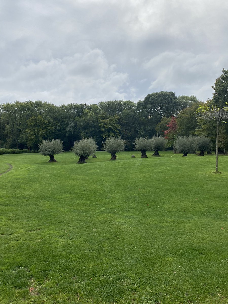 WhatNowDoc's tweet photo. I noticed yest, someone posted a picture to #Treecop claiming it to be of the South Downs. Thereβs a great deal of misinformation about these days so I canβt blame them for their mistake but, just for the record, this is the South Downs. Itβs in Surrey, as are the North Downs. π€·π»ββοΈ https://t.co/nNQJXVWJnn