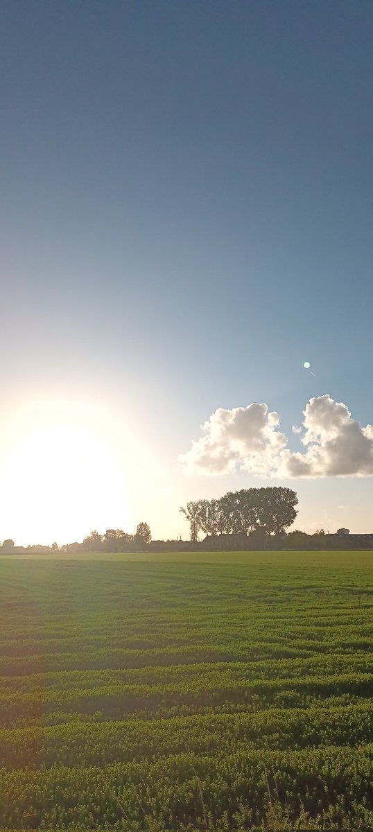 Warreghes's tweet photo. Warre Ghesquiere, Wervik 18:32u #vrtweer #vtimenen https://t.co/qGYijV4fiv