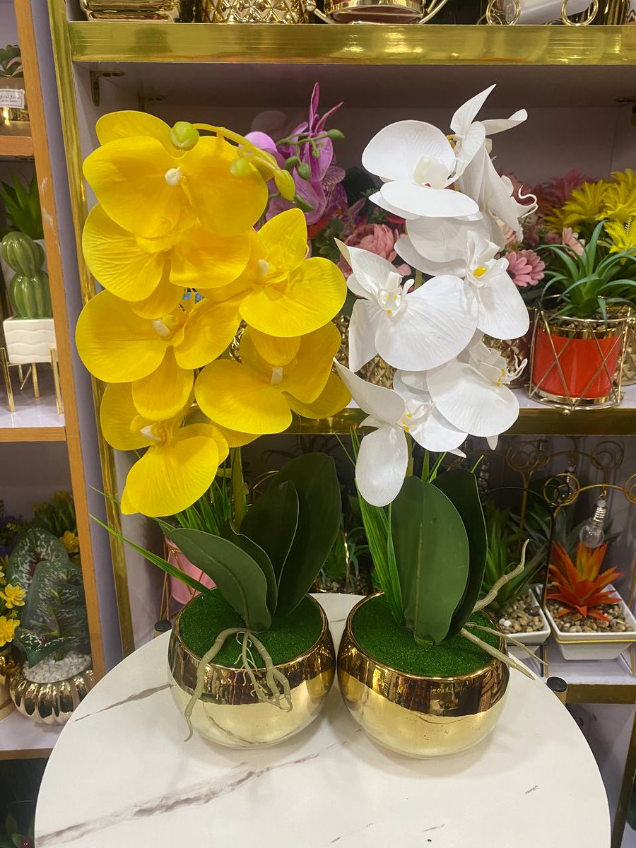 Frame 1 - 7,000
Frame 2 - 5,500
Frame 3 - 5,500
Frame 4 - 13,500