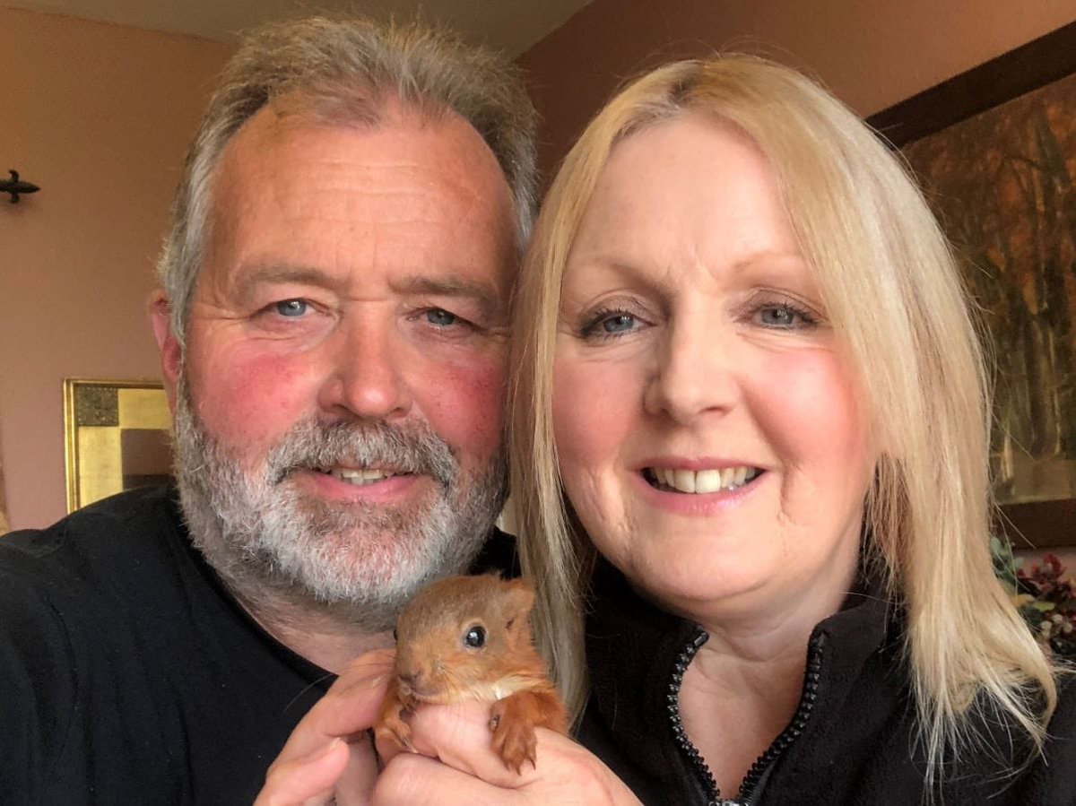 You can read in @CWHerald about Jill a rescues red kitten in the care of volunteers Jerry and Sarah 🐿 #wildlife #redsquirrel cwherald.com/news/everyones…