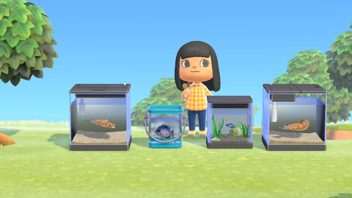 is_shayna's tweet photo. #AnimalCrossing #ACNH #NintendoSwitch i got 7 more to go https://t.co/hvjEiNiROb