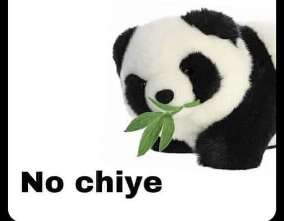 NoSoyMemo's tweet photo. Ni virimos i Hilind in il Mindiil https://t.co/uz5wkGzoOG