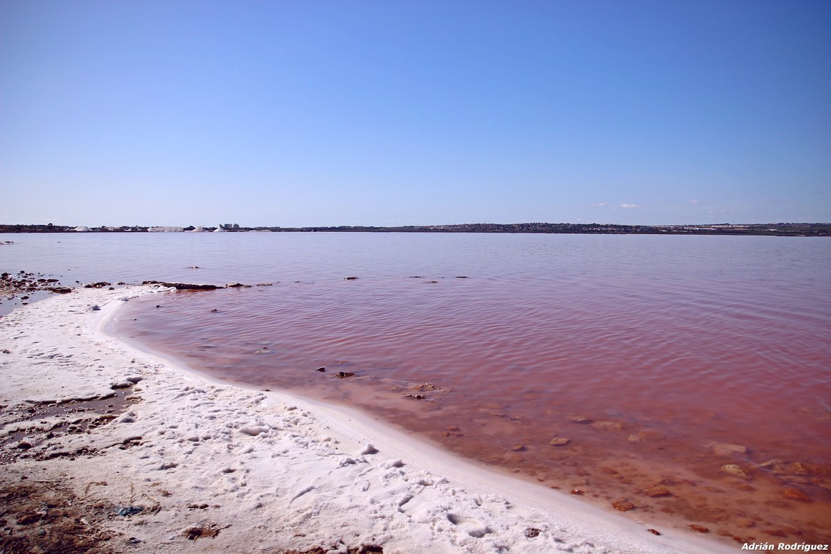 AdrianRT_2000's tweet photo. #LagunaRosa #Torrevieja #Alicante #CostaBlanca #Domingo #Octubre #Salinas #ProyectoMastral https://t.co/QHLOYQemDz