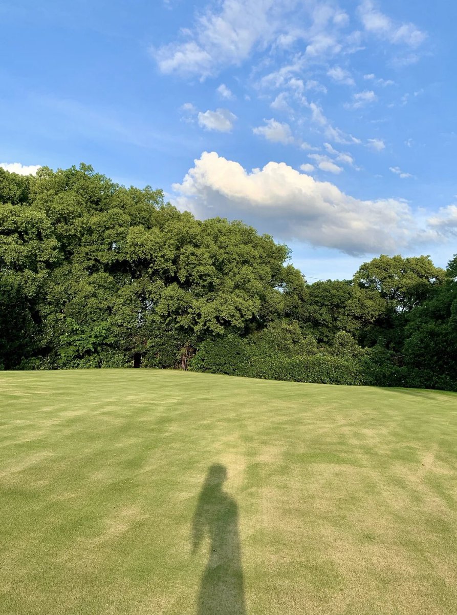 maelsahn's tweet photo. Play golf on weekends. https://t.co/DfTE9YcG3Y