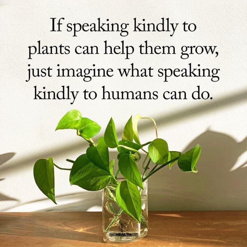 StartsLaura's tweet photo. Basically speaking kind to all livings things is important.
#lunagaialivinglife, #lunagaiaorg, #startslaura, #laurastarts, #KindnessMatters, #lifecoach https://t.co/Zm6qu54S3D
