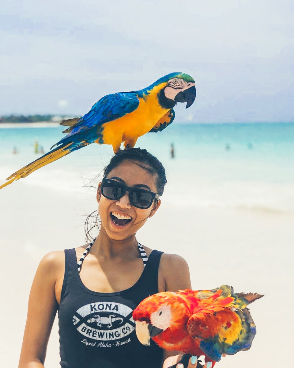 Funjet Vacations tweet media