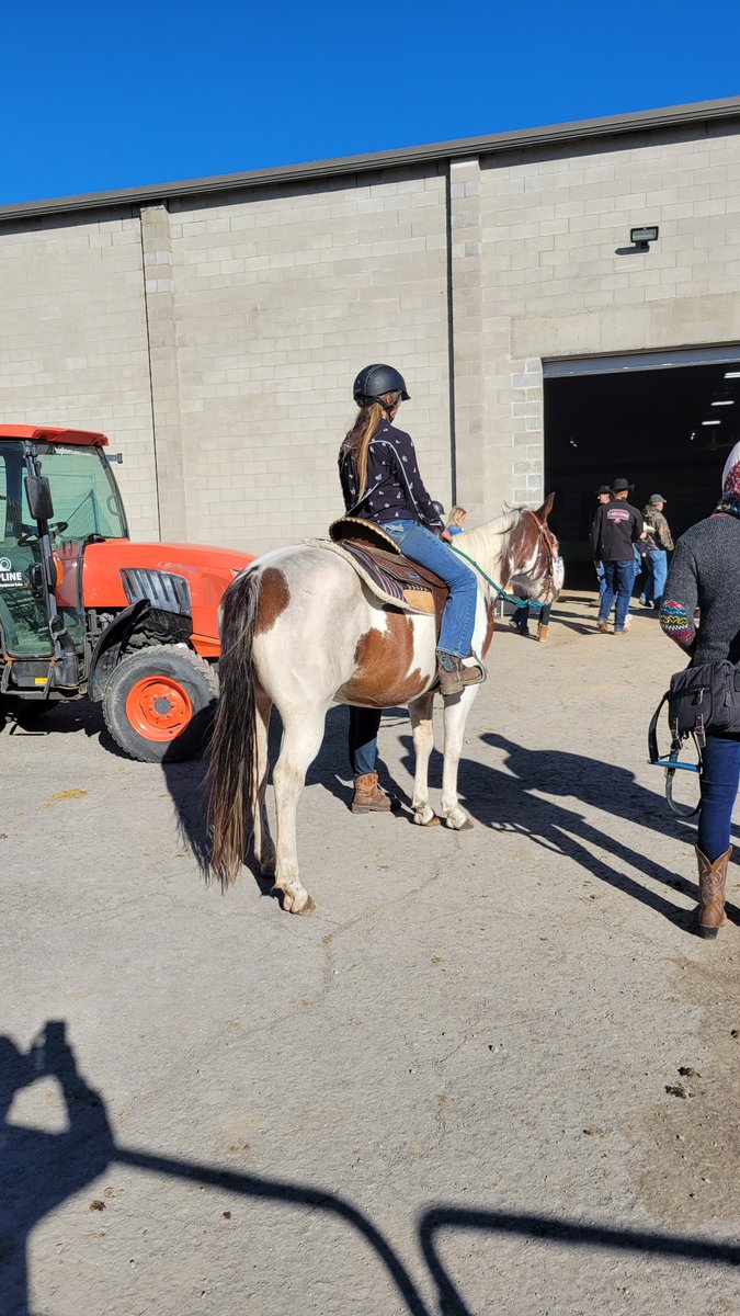 mike4ottawa's tweet photo. Horsin' around at the Metcalfe Fair .@Liams_Hockey .@lucielulubell .@georganneb https://t.co/GX84oZhgDP