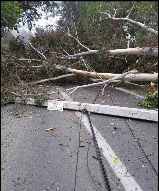 CGE_Clientes's tweet photo. Estas fotografías muestran que la interrupción del suministro eléctrico en la comuna de #IsladeMaipo, se debe a dos #PostesChocados en el camino San Antonio Naltagua. Recomendamos transitar con precaución 🚧. https://t.co/jYRi17zoVw