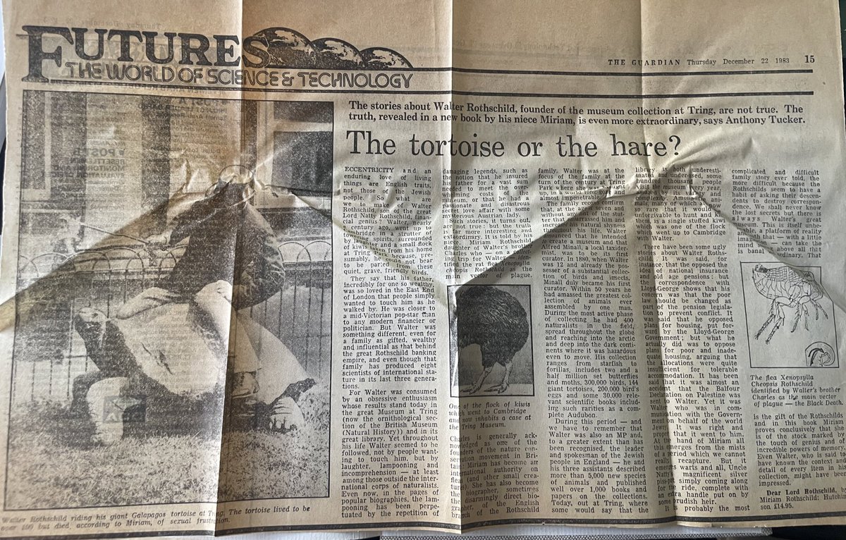 Dr Erica McAlister tweet media