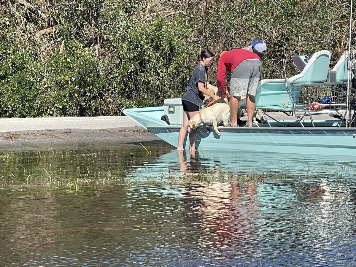 Josh Taylor tweet media