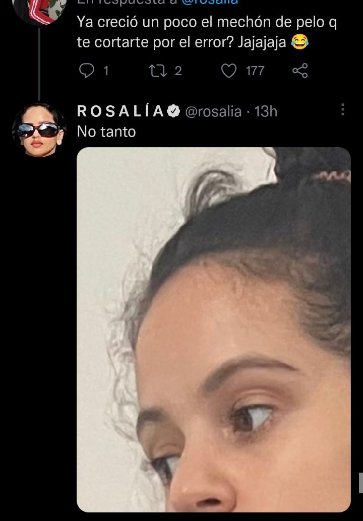 🐿️ tweet media