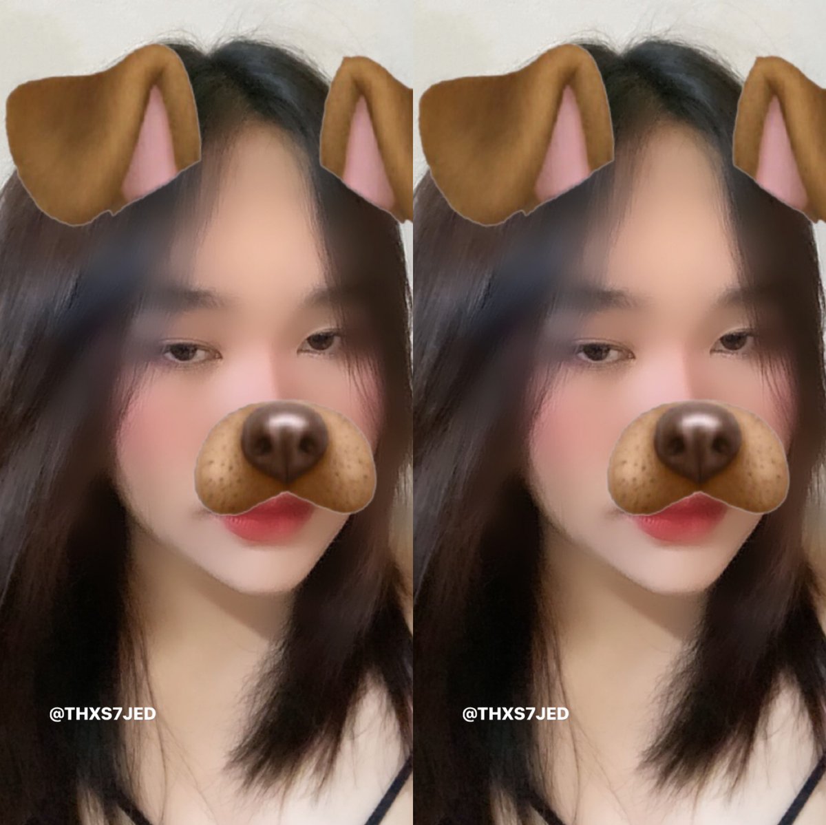 𝐒𝐈𝐍𝐗𝐉𝐄𝐃 (☬) tweet media
