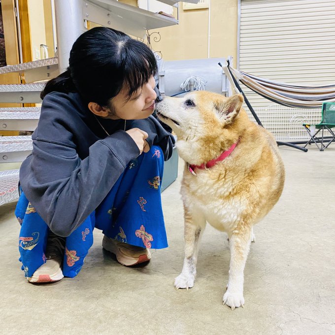 この週末、ムーコwith小松家の皆さん、そしていしこうさんに会いに秋田に行ってきました！久し振りに会えたムーコは相変わら