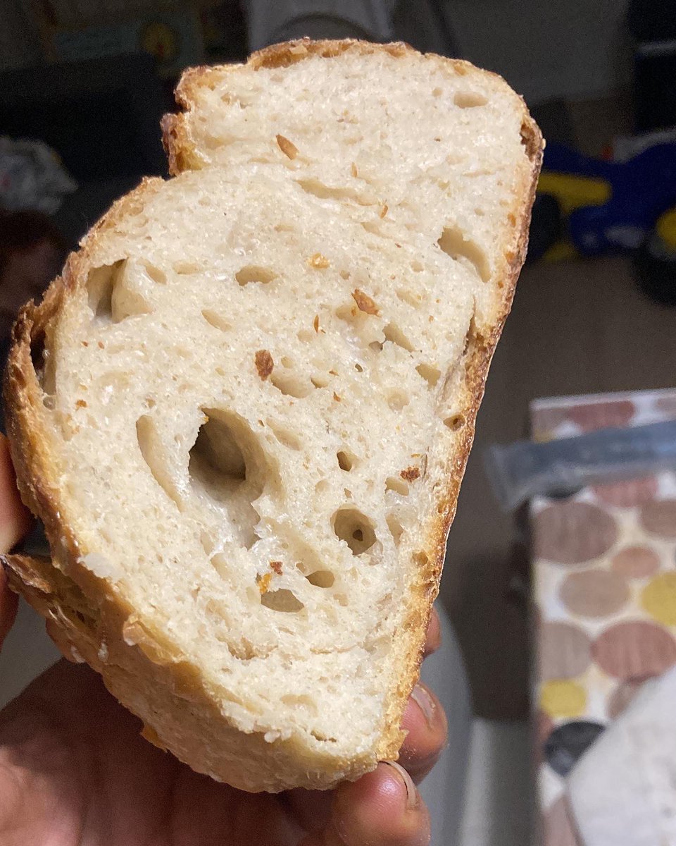 jokingolda's tweet photo. Solo masa madre de cultivo ecológico 🤤 https://t.co/u4YMYfkN43