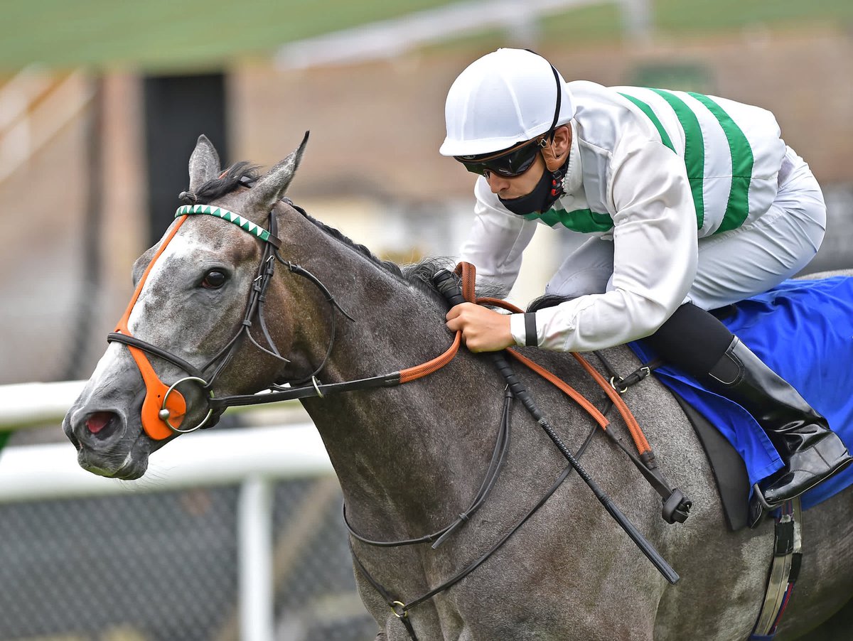 Over the moon to see Kirsten winning the Arc, her one race she really wanted. What a mare to win that in terrible conditions and great to see the girls loving it Annabelle and Adelle giving it laldy at finsh😂👏👏🍀