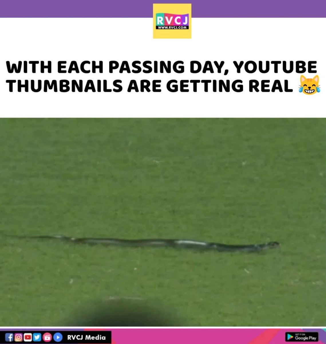 RVCJ_FB's tweet photo. True 😂 https://t.co/YCVPWiJiUv