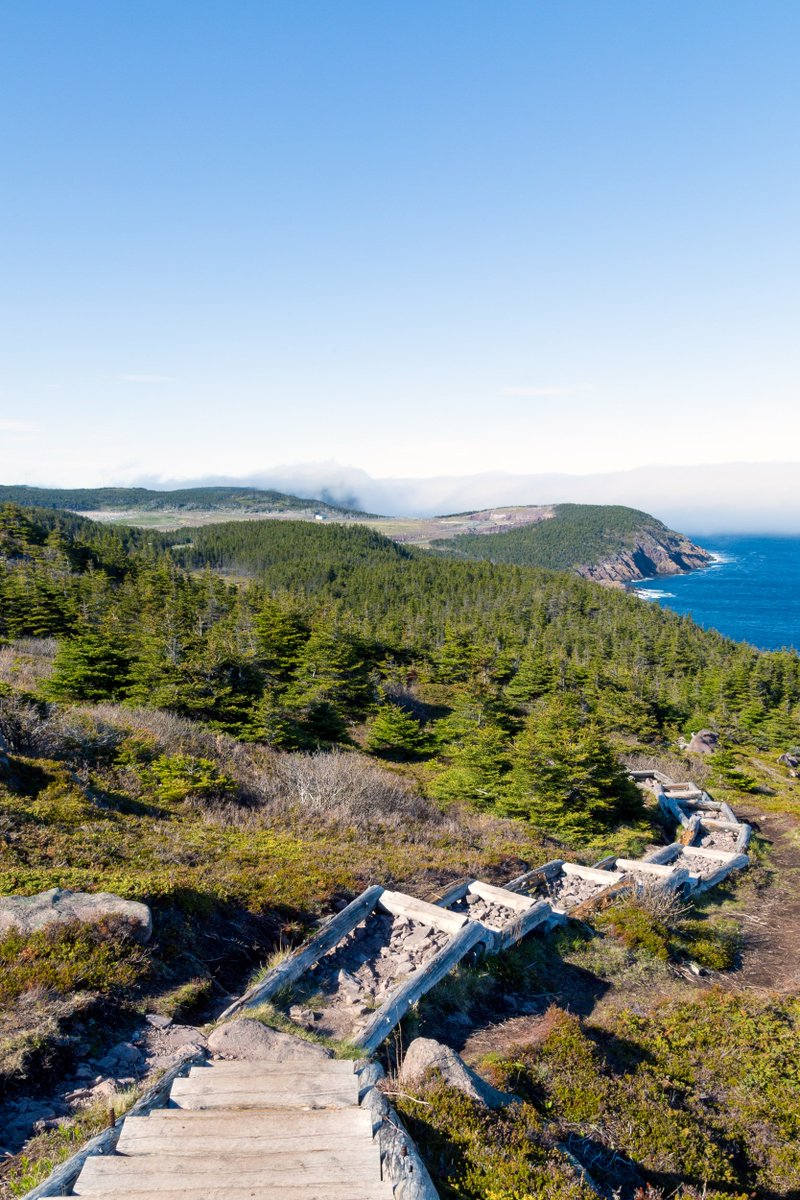 Canada's tweet photo. Looking for your next #adventure? Why not explore the #EastCoastTrail! Located in Newfoundland and Labrador, the trail is 336 km long and offers views of cliffs, historic sites, and more! With many different paths to take, this hike is both beginner and expert friendly. 🌲⛰️🌊 https://t.co/Vb8bO1c5Aw