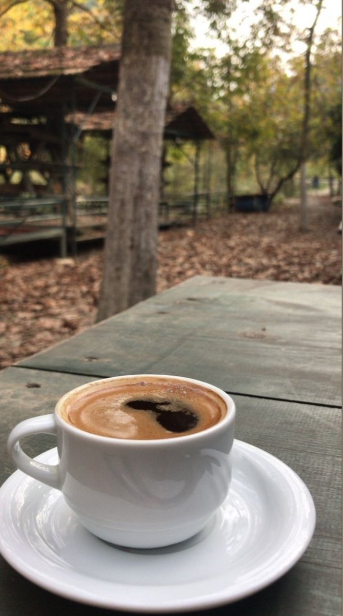 Adalet, herşeyi lâyık olduğu yere koymaktır. Ayakkabı ayağındır! Külâh Başın...