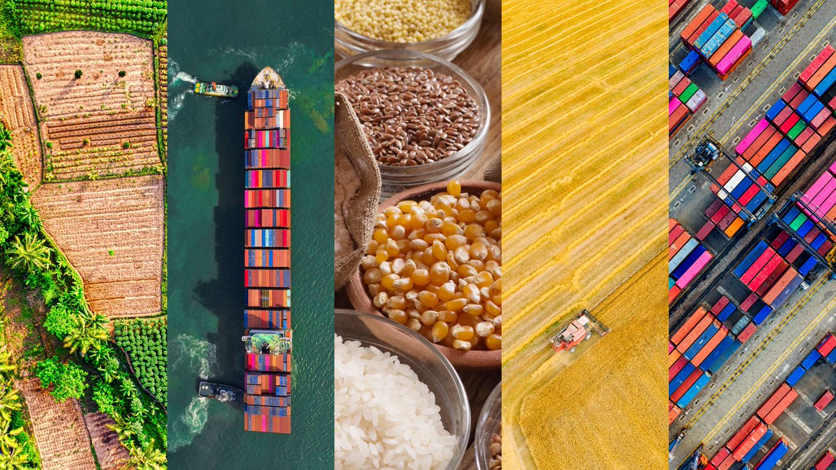 IMFNews's tweet photo. Countries most vulnerable to the food crisis will need to spend up to $7 billion this year to help the poor cope with higher prices, new IMF analysis shows. https://t.co/fXFOoBhm0v https://t.co/kti43pucAK