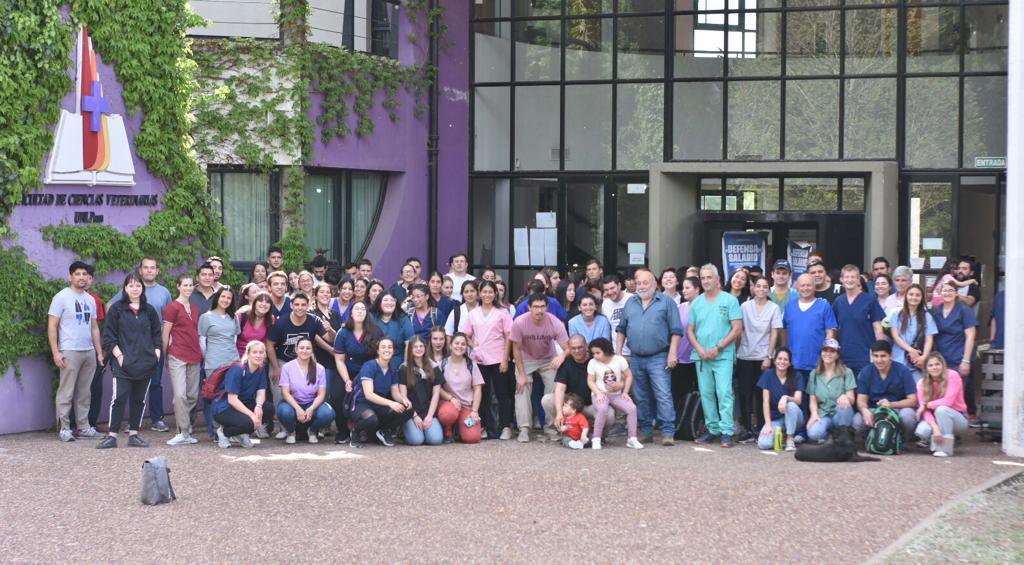 Fernanda Alonso tweet media