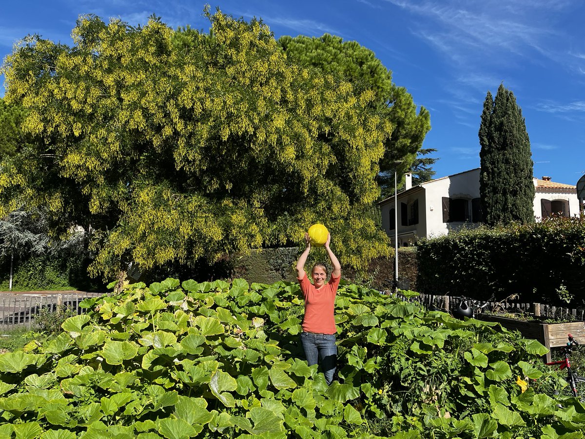 Marie Massart tweet media